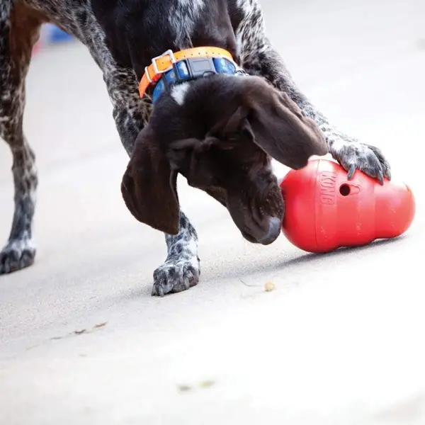 Pet Toys