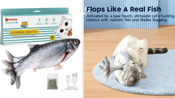 Pet Toys